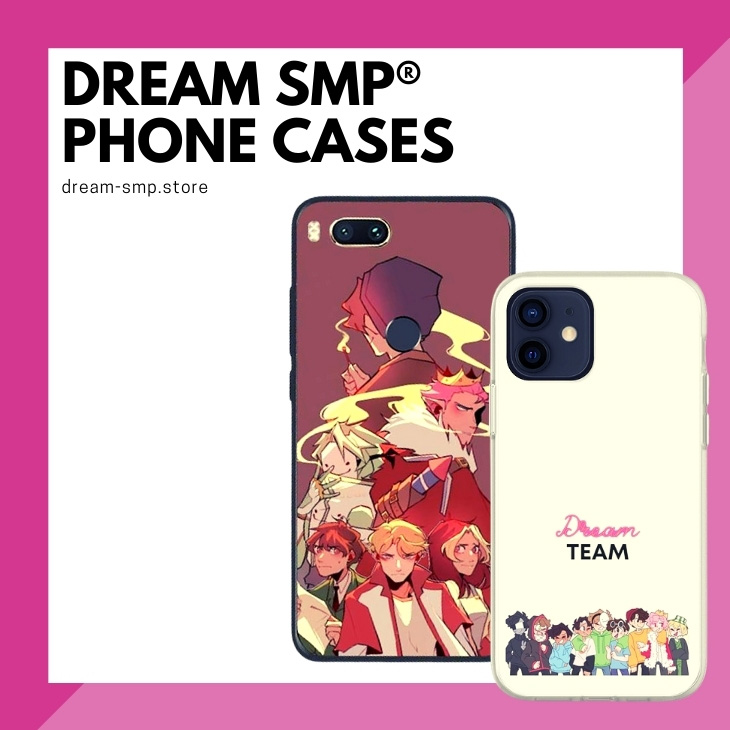 Dream SMP Cases